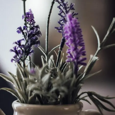 Casa Lavenda Plovdiv